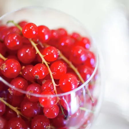 Cavalieri, A Waldorf Astoria 5*