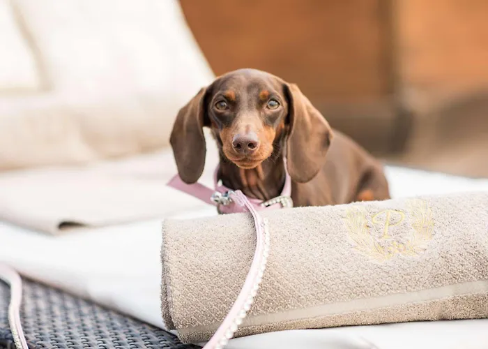 Cavalieri, A Waldorf Astoria רומא