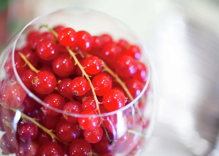 Cavalieri, A Waldorf Astoria 5*