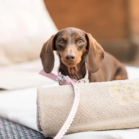 Cavalieri, A Waldorf Astoria Roma